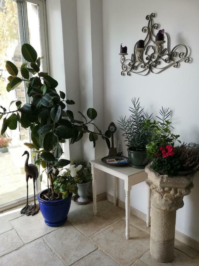 Bed and Breakfast La Pastorale Vinneuf Esterno foto